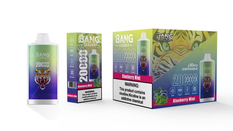 BANG LEADER | 20000 Puffs Vape 12-Flavors Disposable E-Cigarettes (Ship from China) - Image 2
