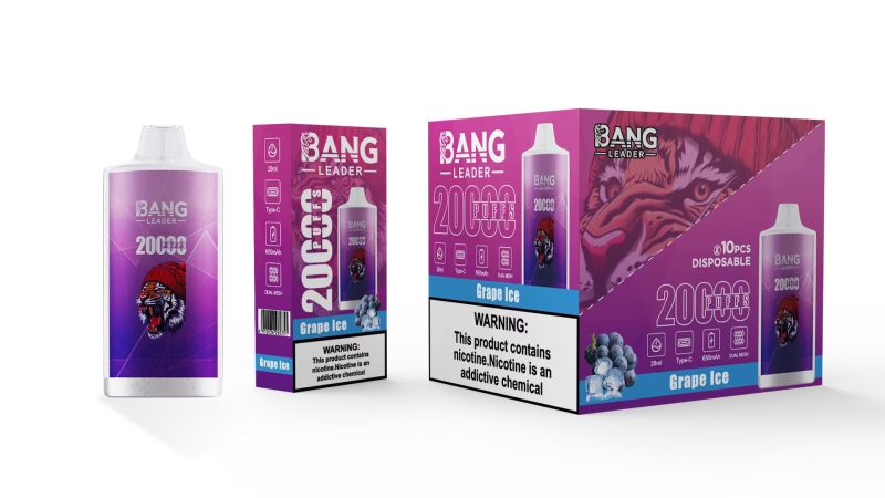 BANG LEADER | 20000 Puffs Vape 12-Flavors Disposable E-Cigarettes (Ship from China) - Image 12