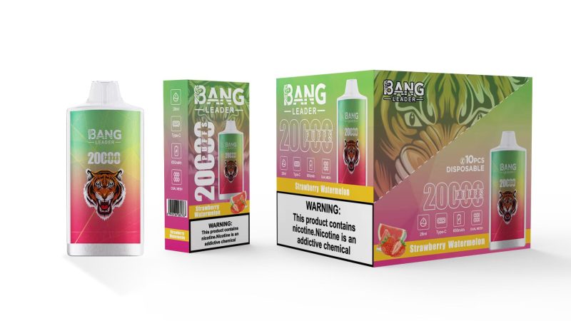 BANG LEADER | 20000 Puffs Vape 12-Flavors Disposable E-Cigarettes (Ship from China) - Image 3