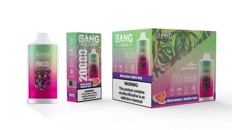 BANG LEADER | 20000 Puffs Vape 12-Flavors Disposable E-Cigarettes (Ship from China) - Image 4