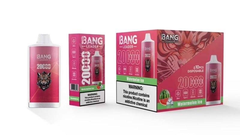 BANG LEADER | 20000 Puffs Vape 12-Flavors Disposable E-Cigarettes (Ship from China) - Image 6
