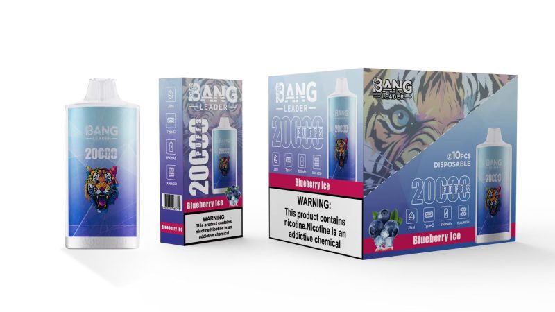 BANG LEADER | 20000 Puffs Vape 12-Flavors Disposable E-Cigarettes (Ship from China) - Image 8
