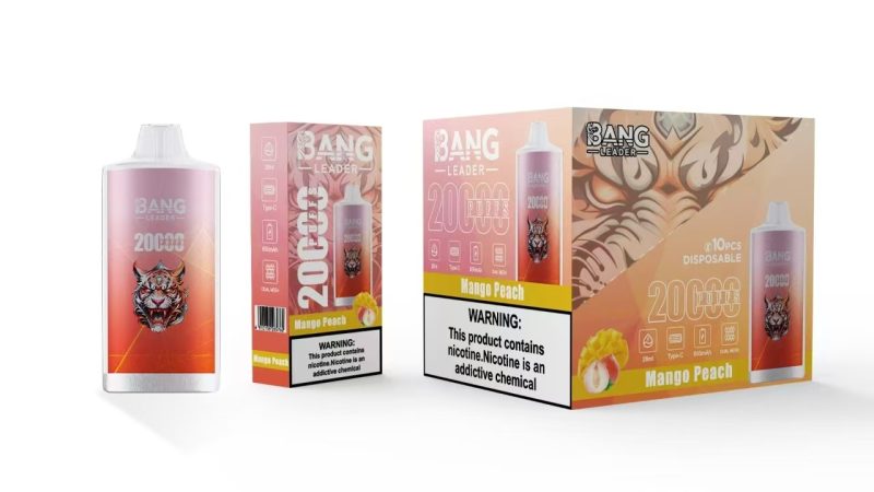 BANG LEADER | 20000 Puffs Vape 12-Flavors Disposable E-Cigarettes (Ship from China) - Image 9