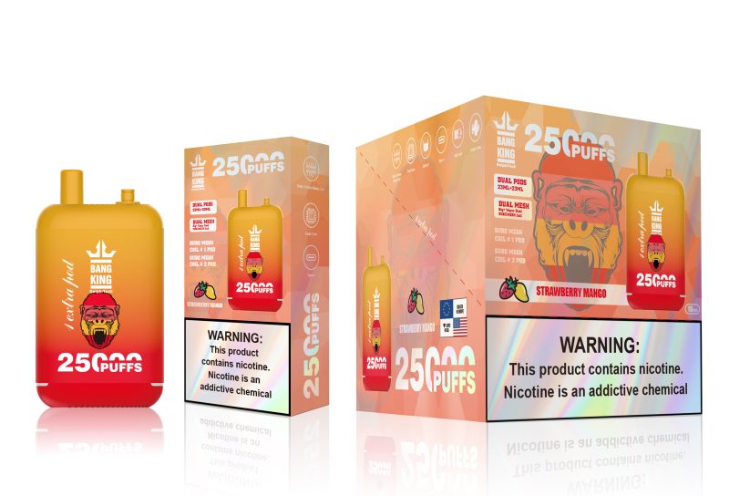 BANG KING | 25000 Puffs Vape 11-Flavors Disposable E-Cigarettes (Ship from China) - Image 11