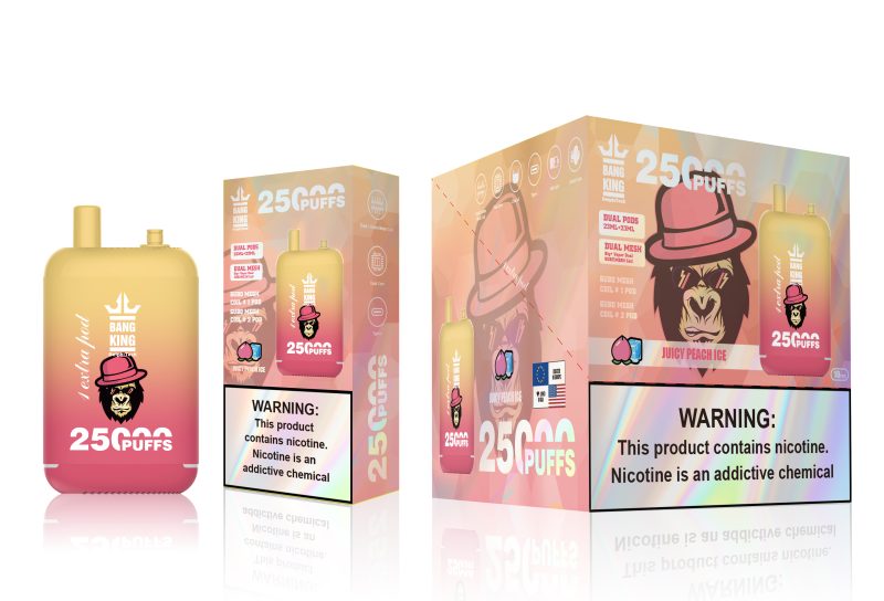 BANG KING | 25000 Puffs Vape 11-Flavors Disposable E-Cigarettes (Ship from China) - Image 12